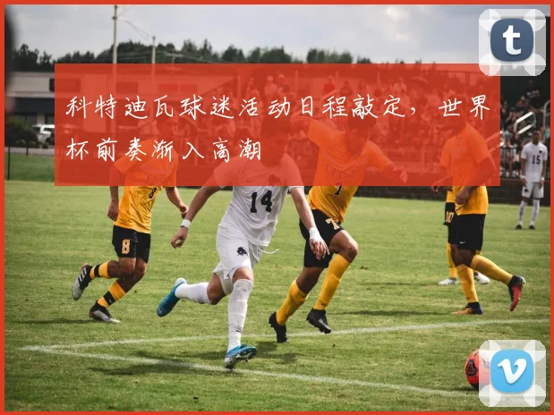 科特迪瓦球迷活动日程敲定，世界杯前奏渐入高潮