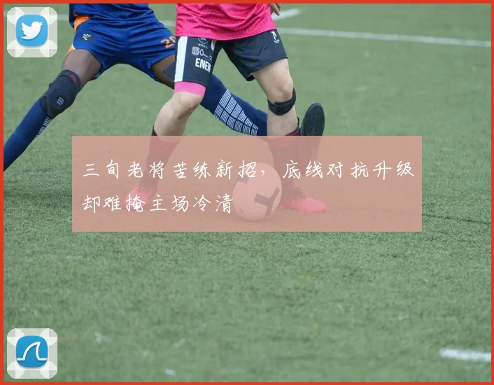 三旬老将苦练新招，底线对抗升级却难掩主场冷清